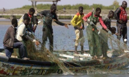 Το μυστήριο με τη δερματοπάθεια των ψαράδων στη Σενεγάλη παραμένει – Newsbeast
