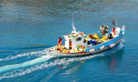 Θεσσαλονίκη: Μεγάλη επιχείρηση για τον εντοπισμό ψαράδων