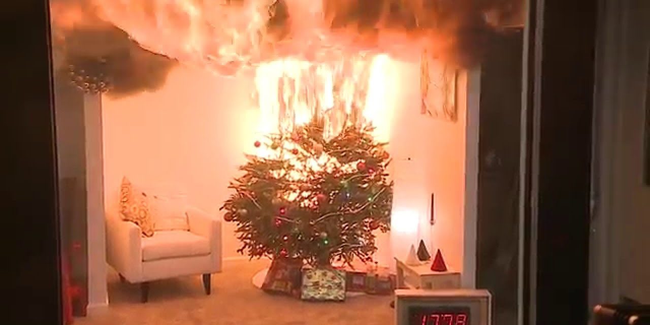 Βίντεο: Χριστουγεννιάτικο δέντρο λαμπαδιάζει σε δευτερόλεπτα – Συμβουλές της Πυροσβεστικής
