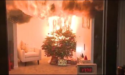 Βίντεο: Χριστουγεννιάτικο δέντρο λαμπαδιάζει σε δευτερόλεπτα – Συμβουλές της Πυροσβεστικής