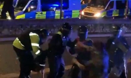 Αστυνομικός σκύλος αντιδρά σε ξυλοδαρμό πολίτη δαγκώνοντας τον αστυνομικό – Δείτε το βίντεο