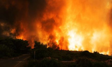 Πυροσβεστική: Περισσότερες φέτος οι πυρκαγιές, λιγότερες οι καμένες εκτάσεις