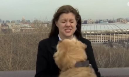 Απρόοπτο σε ζωντανή σύνδεση, σκύλος έκλεψε μικρόφωνο από δημοσιογράφο κι άρχισε να τρέχει