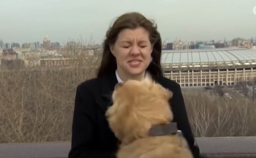 Απρόοπτο σε ζωντανή σύνδεση, σκύλος έκλεψε μικρόφωνο από δημοσιογράφο κι άρχισε να τρέχει