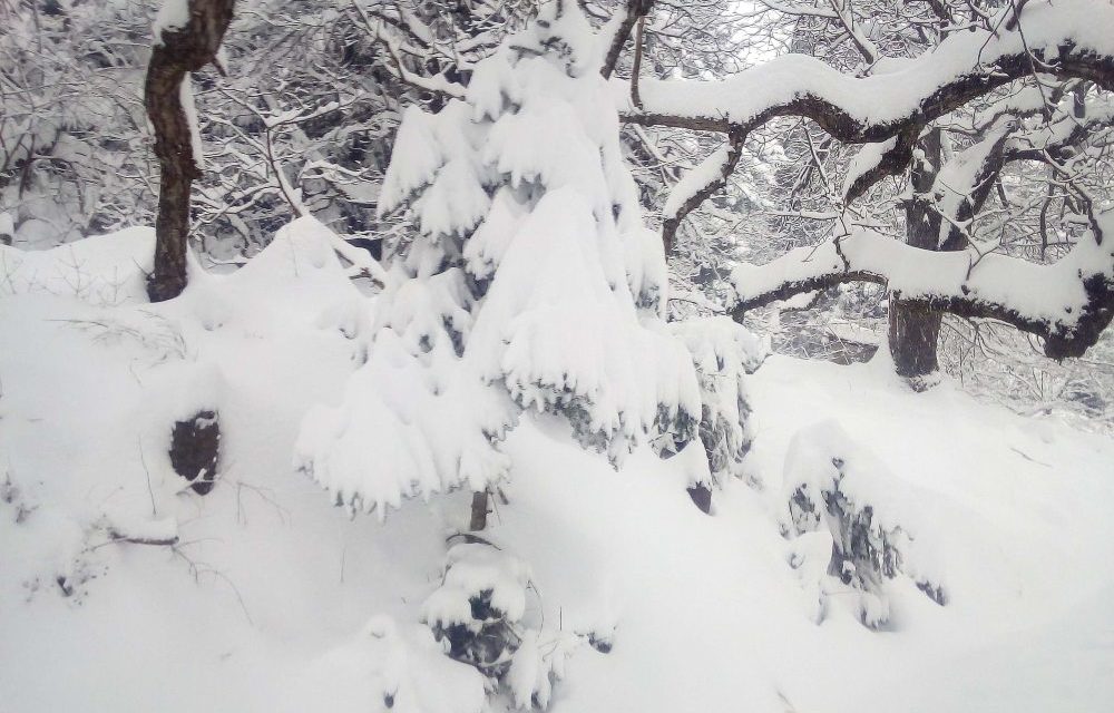 Η δεύτερη φάση της κακοκαιρίας «Μήδεια» από σήμερα Δευτέρα με πυκνές χιονοπτώσεις και στην Αθήνα