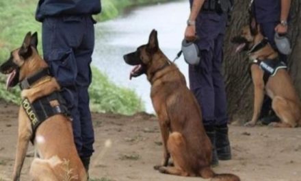 Η Ένωση Ν/Α στον Ταξίαρχο της Δ.Ε.Α.Δ. για τους Συνοδούς Αστυνομικών Σκύλων Περιπολίας και το Τ.Ε.Ε.Μ. του Αερολιμένα Αθηνών