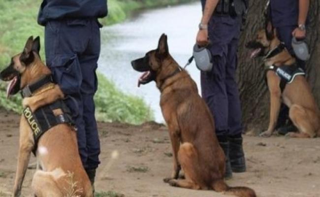 Η Ένωση Ν/Α στον Ταξίαρχο της Δ.Ε.Α.Δ. για τους Συνοδούς Αστυνομικών Σκύλων Περιπολίας και το Τ.Ε.Ε.Μ. του Αερολιμένα Αθηνών