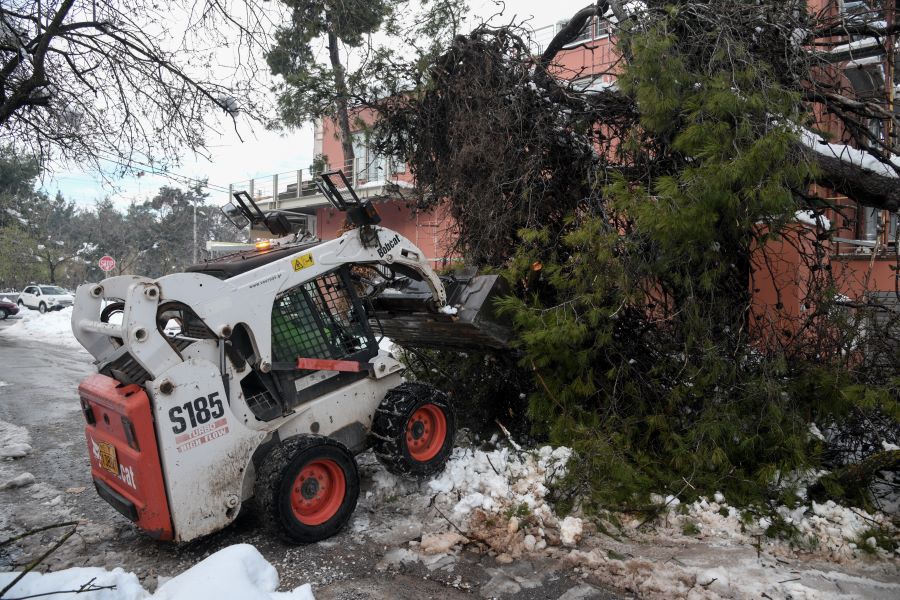 Μπαλάκι οι ευθύνες για τη “Μήδεια”: Χωρίς ρεύμα για 5η ημέρα 3.500 νοικοκυριά – Δέντρο έπεσε σε σοφίτα σπιτιού στην Άνοιξη – ΒΙΝΤΕΟ