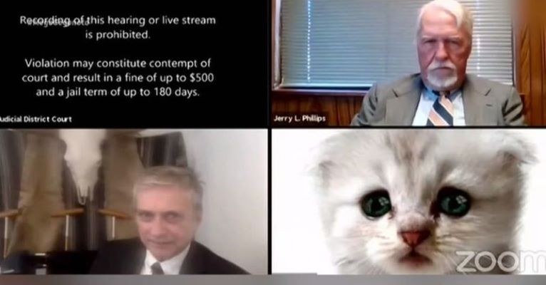 Δικηγόρος «εμφανίστηκε» σαν γάτα σε τηλεδιάσκεψη δικαστηρίου και έγινε viral σε όλο τον κόσμο – ΒΙΝΤΕΟ