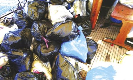 Το βαπόρι από την… Τουρκία – Δικάζονται στον Άρειο Πάγο οι τρεις διακινητές ναρκωτικών που μετέφεραν πάνω 750 κιλά κάνναβης