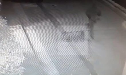 Υπόθεση Φουρθιώτη: Νέο βίντεο με τον ποινικό που πυροβόλησε έξω από το σπίτι του παρουσιαστή