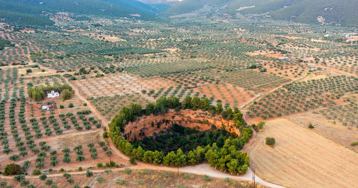 Η ΚΑΠ, η Πράσινη Συμφωνία και η πανδημία: Προκλήσεις και προοπτικές