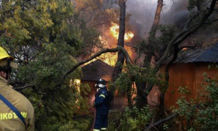 Χρυσοχοΐδης: Διερευνώνται τα αίτια της πυρκαγιάς στην Αχαΐα