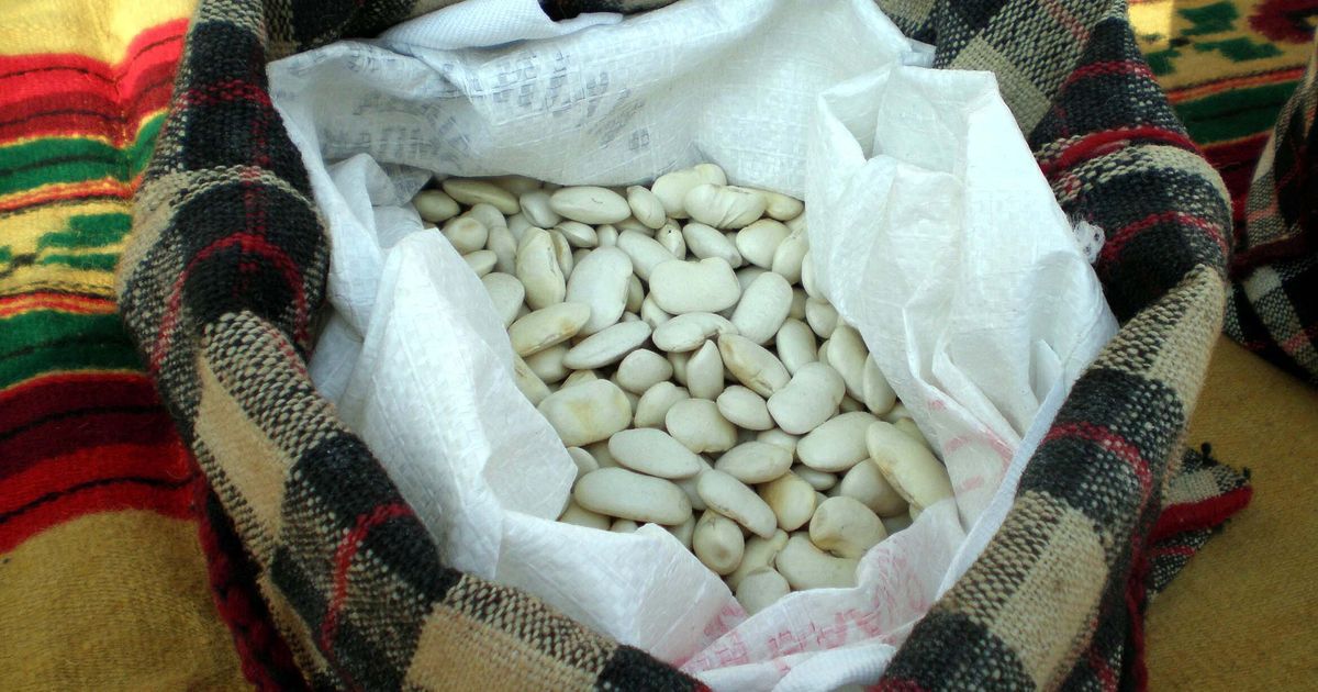 Συνεχής κακοκαιρία: Ολική καταστροφή της παραγωγής φασολιού σε Πρέσπα και Καστοριά