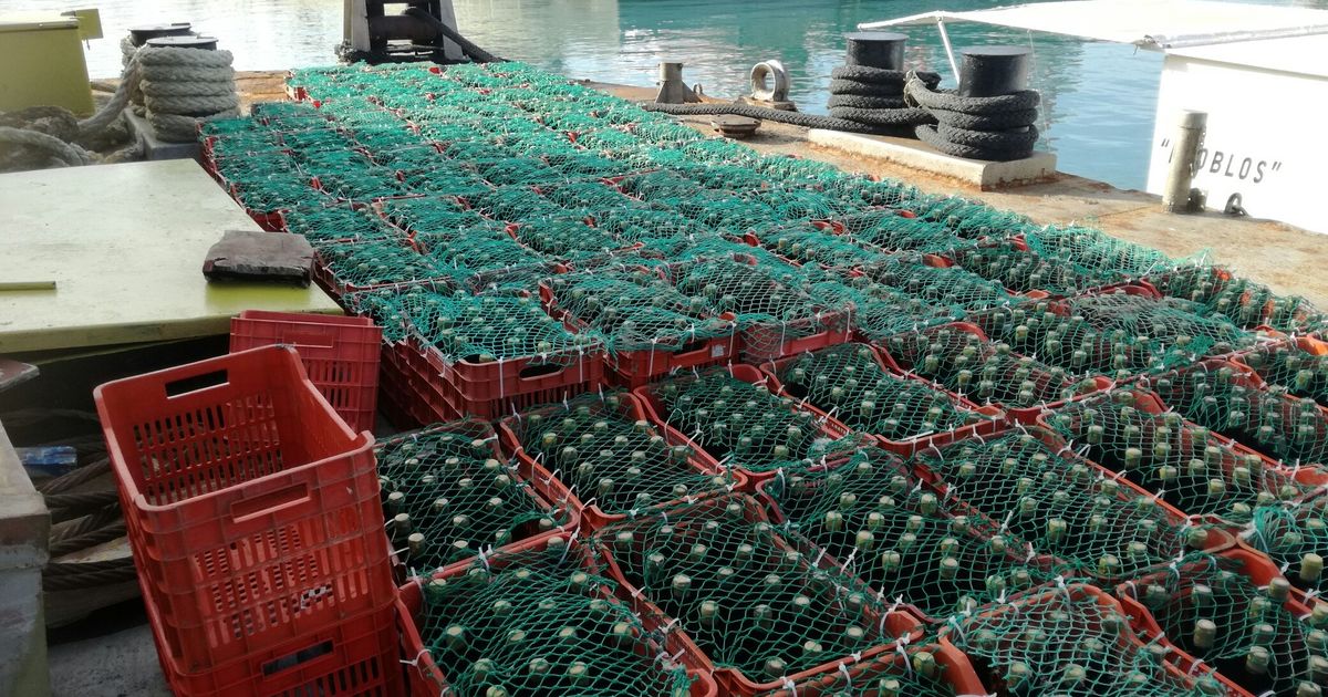 Σε κελάρι στον βυθό της θάλασσας του Ηρακλείου 5.000 μπουκάλια κρασί