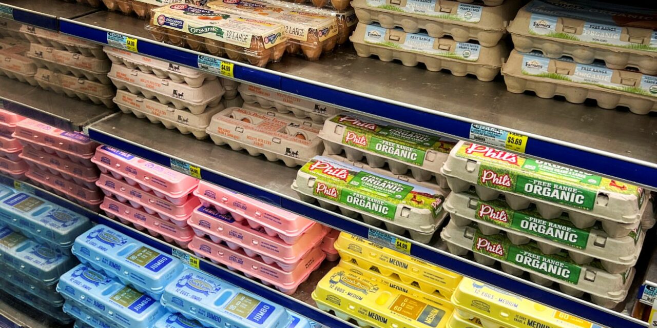Κύμα ακρίβεας: Εκτοξεύονται και οι τιμές των αυγών παγκοσμίως