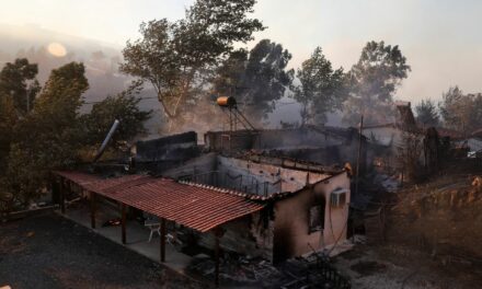 Τα 12 μέτρα της κυβέρνησης για την στήριξη των πληγέντων από τις πυρκαγιές